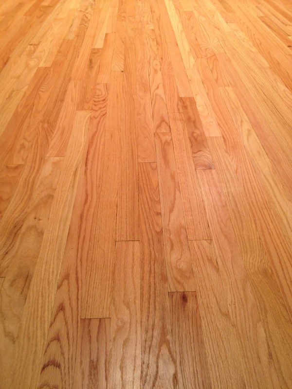 Gallery - Young Forest Hardwood Floors